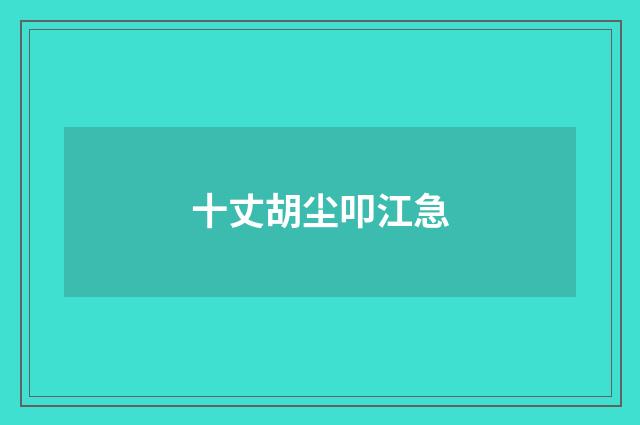 十丈胡尘叩江急