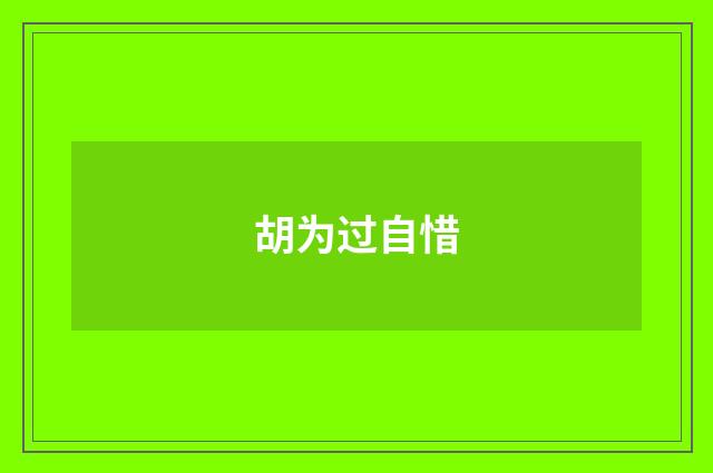胡为过自惜