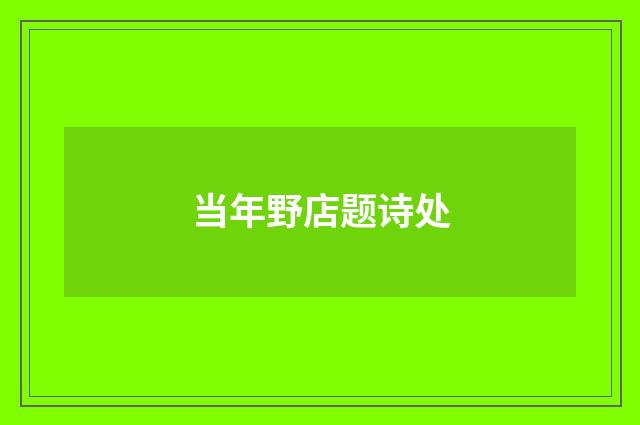 当年野店题诗处