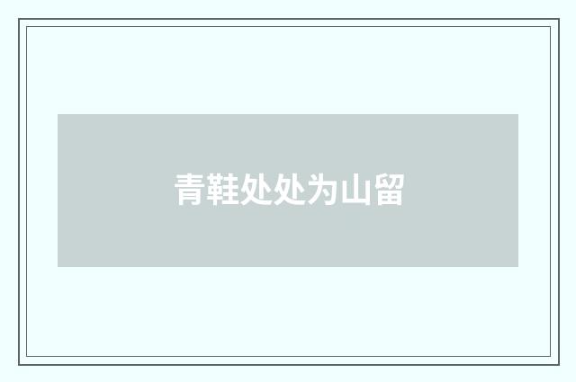 青鞋处处为山留