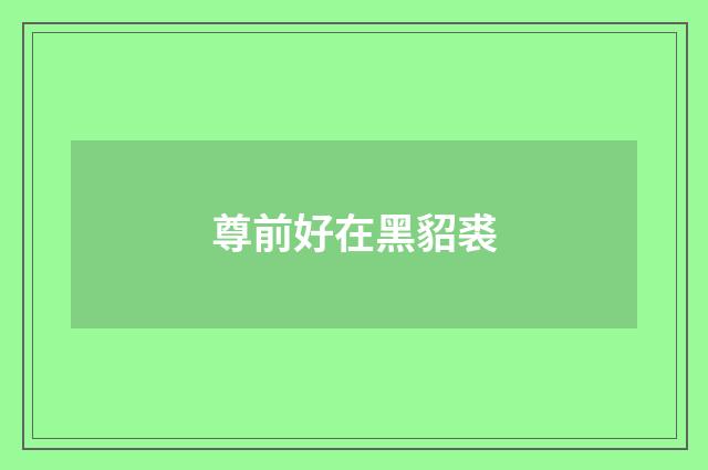 尊前好在黑貂裘
