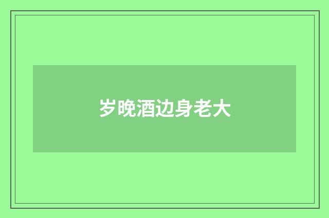 岁晚酒边身老大