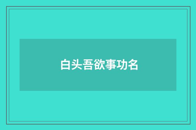 白头吾欲事功名