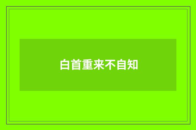 白首重来不自知