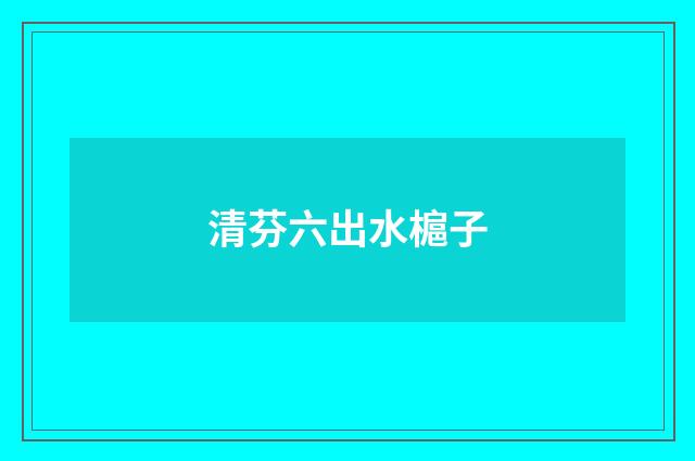 清芬六出水槴子