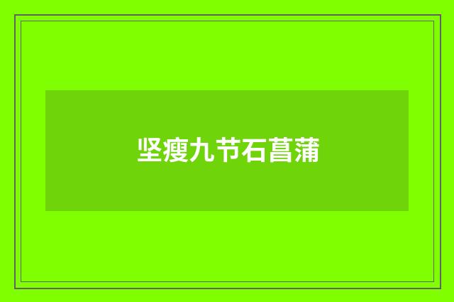 坚瘦九节石菖蒲