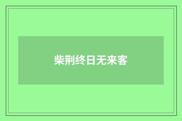 柴荆终日无来客