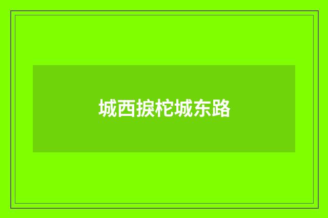 城西捩柁城东路