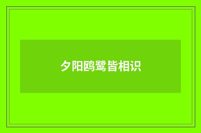 夕阳鸥鹭皆相识