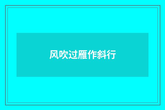 风吹过雁作斜行