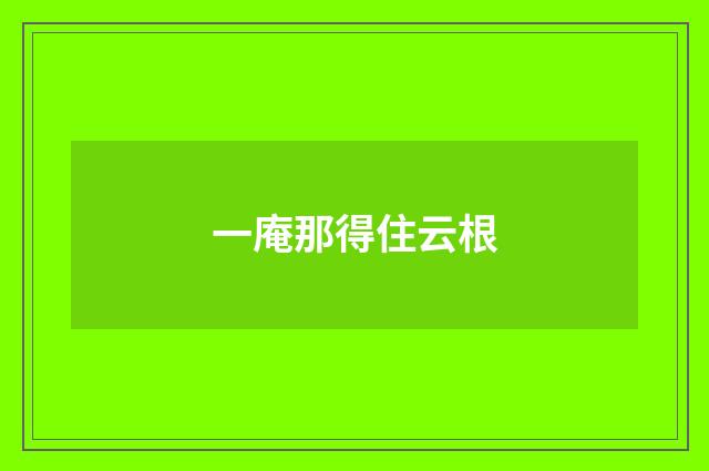 一庵那得住云根