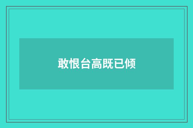 敢恨台高既已倾