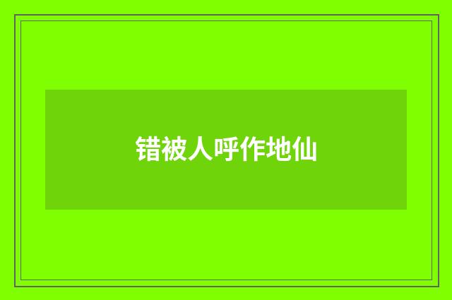 错被人呼作地仙