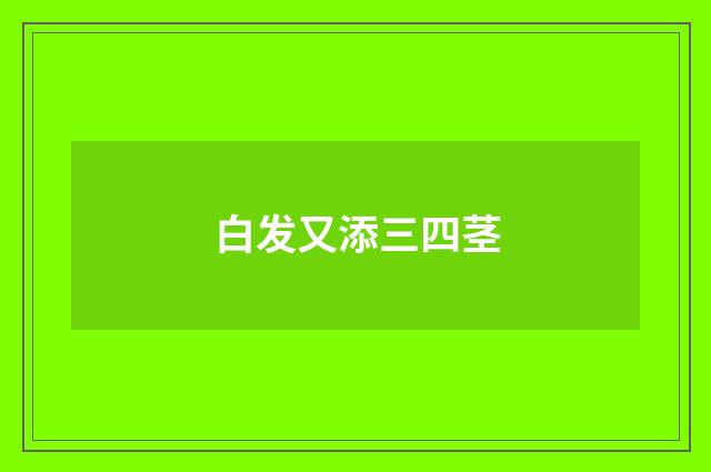 白发又添三四茎