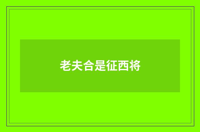 老夫合是征西将