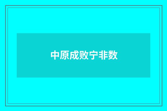 中原成败宁非数