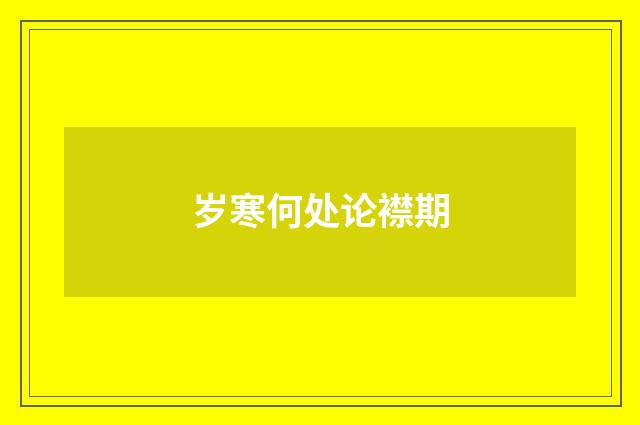 岁寒何处论襟期