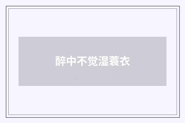 醉中不觉湿蓑衣