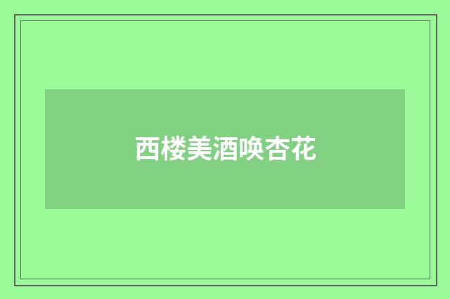 西楼美酒唤杏花