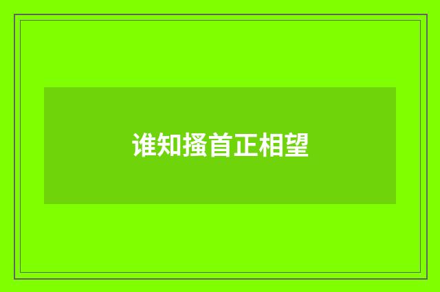 谁知搔首正相望
