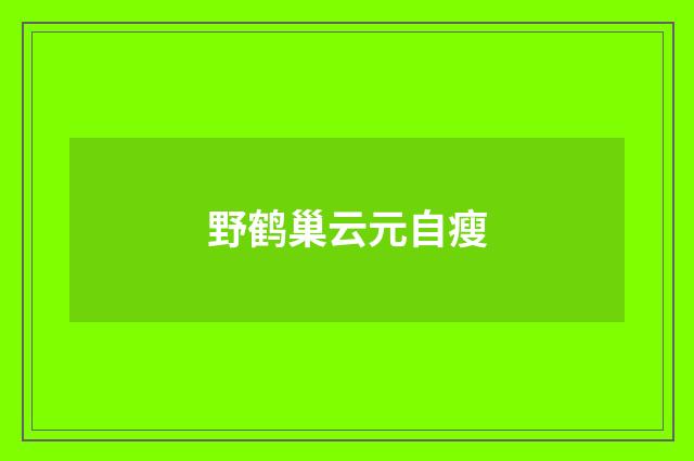 野鹤巢云元自瘦