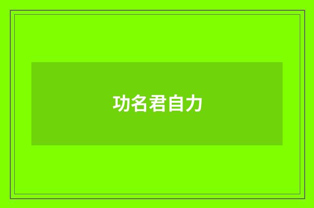 功名君自力