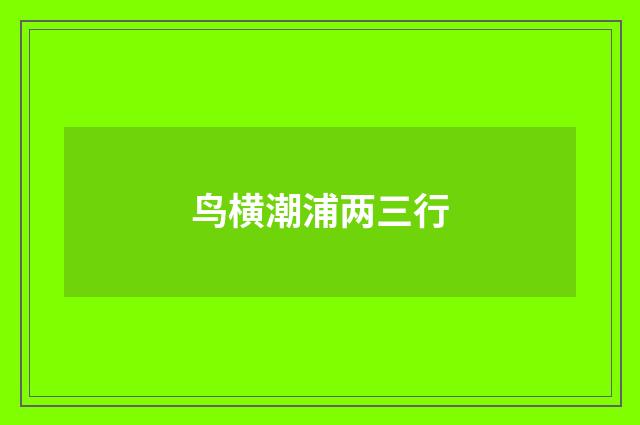 鸟横潮浦两三行