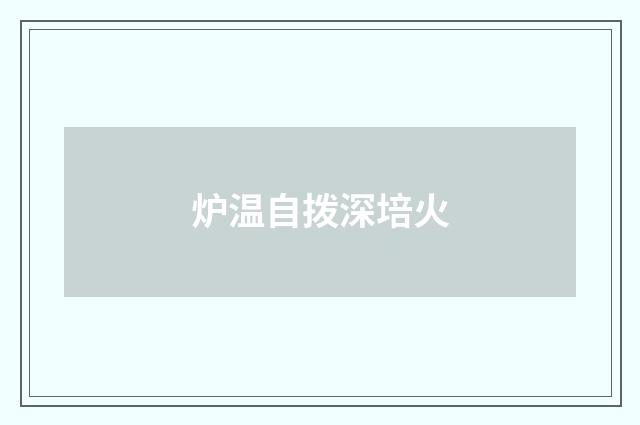 炉温自拨深培火