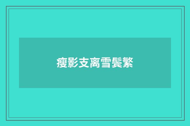 瘦影支离雪鬓繁