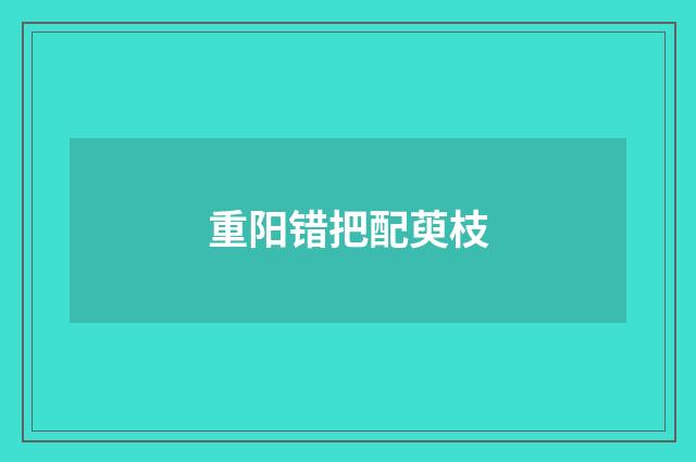 重阳错把配萸枝