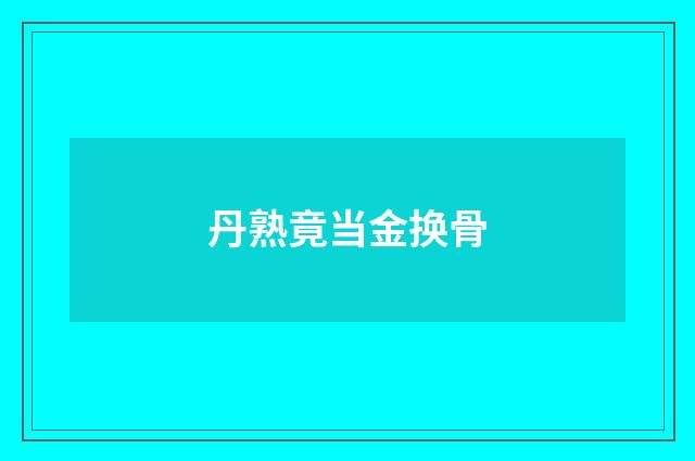丹熟竟当金换骨