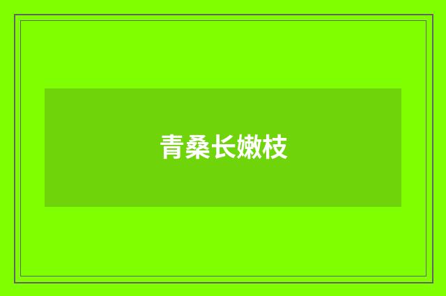 青桑长嫩枝