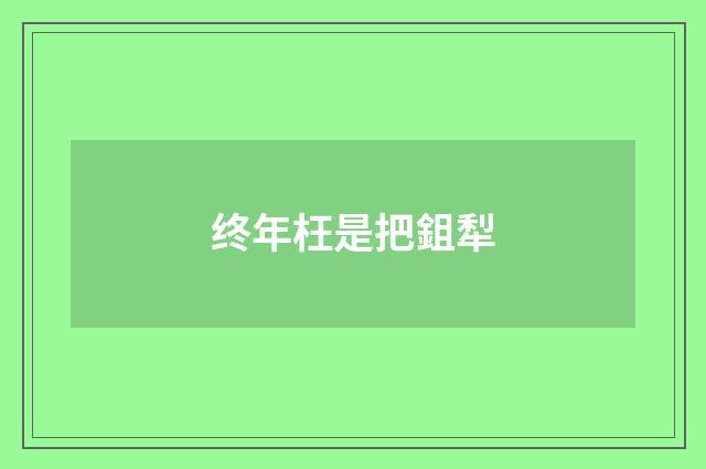 终年枉是把鉏犁