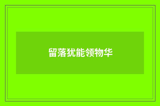 留落犹能领物华