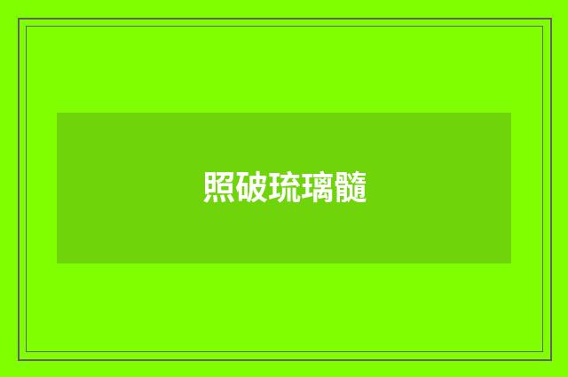 照破琉璃髓