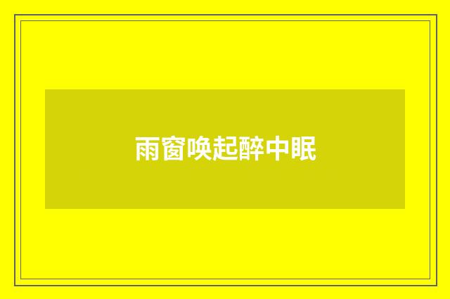 雨窗唤起醉中眠