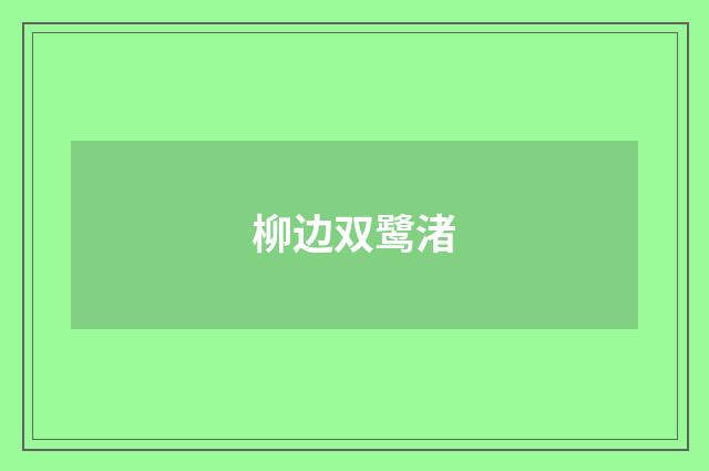 柳边双鹭渚