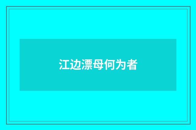 江边漂母何为者