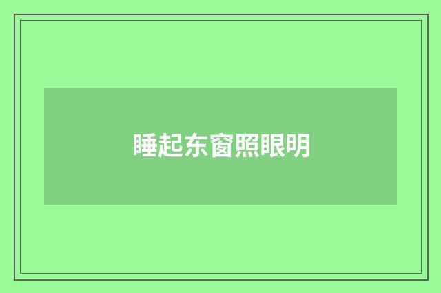 睡起东窗照眼明