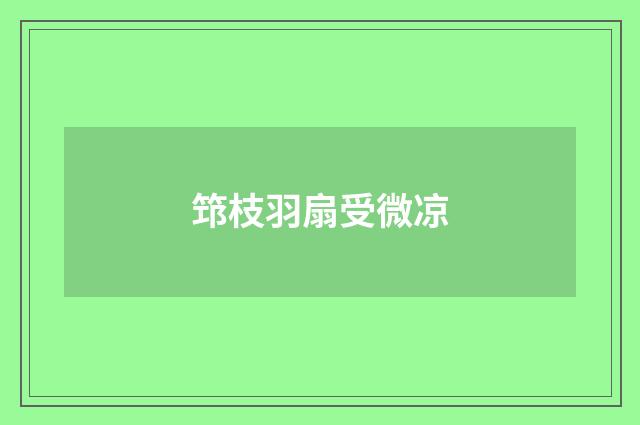 筇枝羽扇受微凉