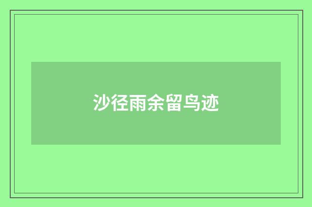 沙径雨余留鸟迹