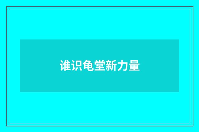 谁识龟堂新力量