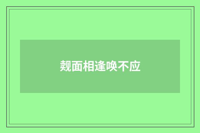 觌面相逢唤不应