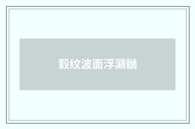 縠纹波面浮鸂鶒