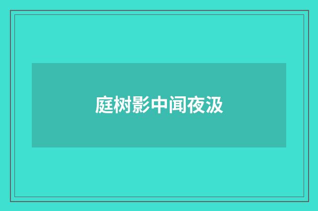庭树影中闻夜汲
