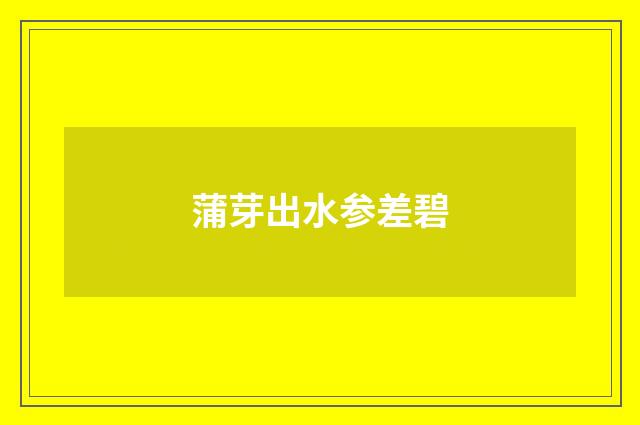 蒲芽出水参差碧
