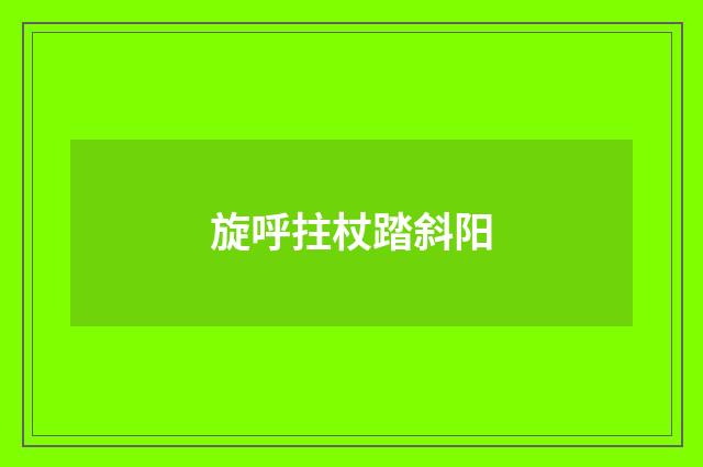 旋呼拄杖踏斜阳