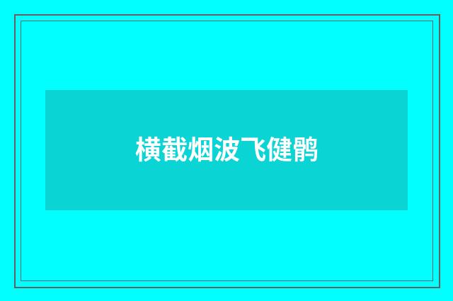 横截烟波飞健鹘