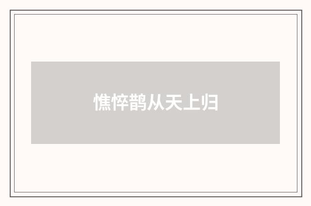 憔悴鹊从天上归