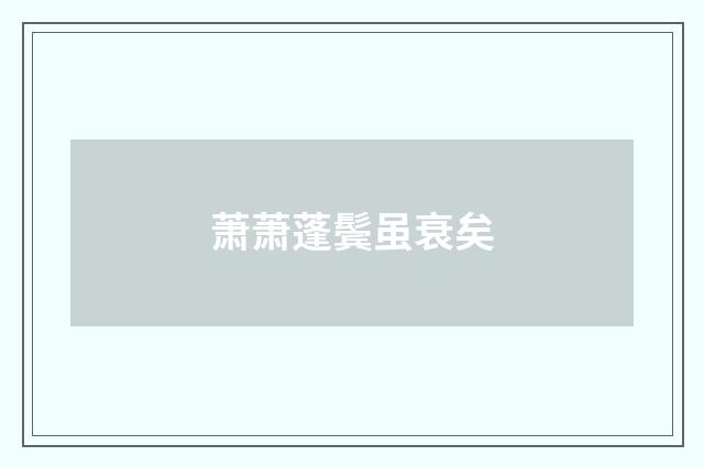 萧萧蓬鬓虽衰矣